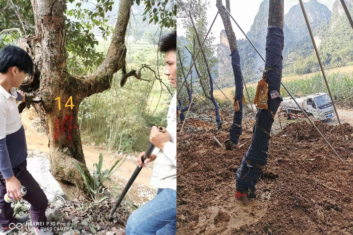 尊龙凯时人生就是搏·(中国区)官方网站