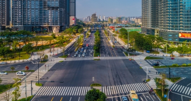 精品线路沿线风貌刷新提升工程（五象大道）项目