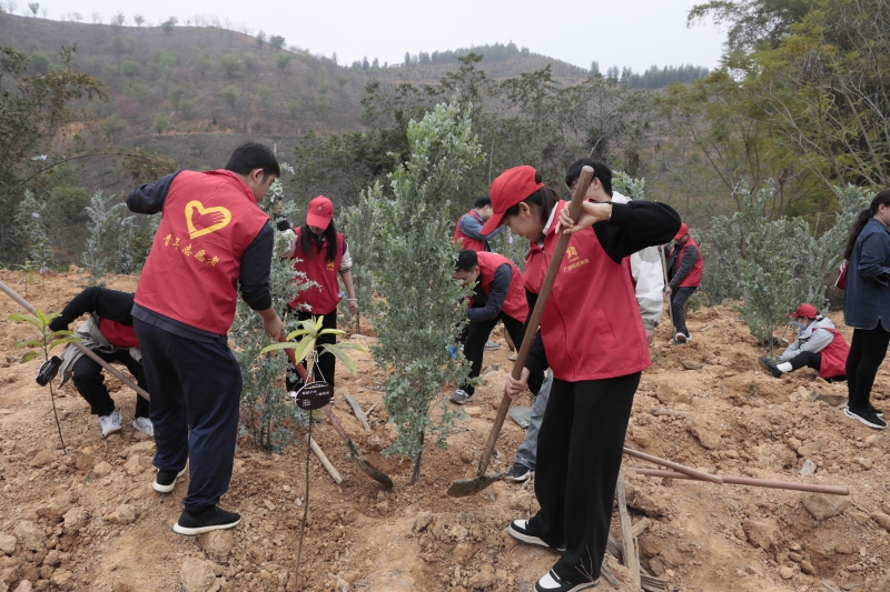 尊龙凯时人生就是搏·(中国区)官方网站