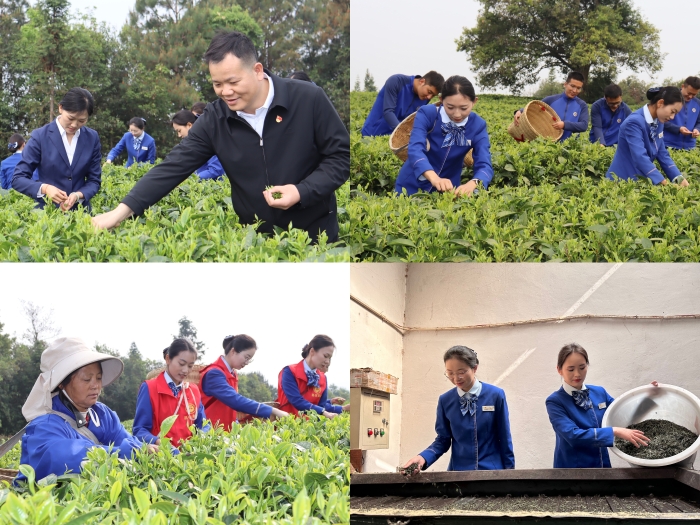 尊龙凯时人生就是搏·(中国区)官方网站